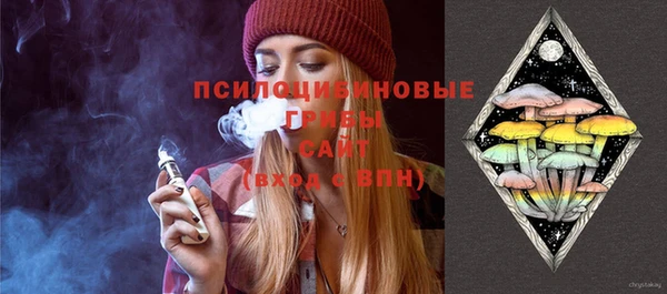 ешки Богородицк