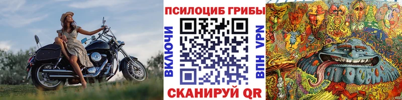 это как зайти  купить наркотик  Моздок  Галлюциногенные грибы GOLDEN TEACHER 