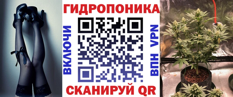МАРИХУАНА ГИДРОПОН  купить наркотики сайты  Моздок 